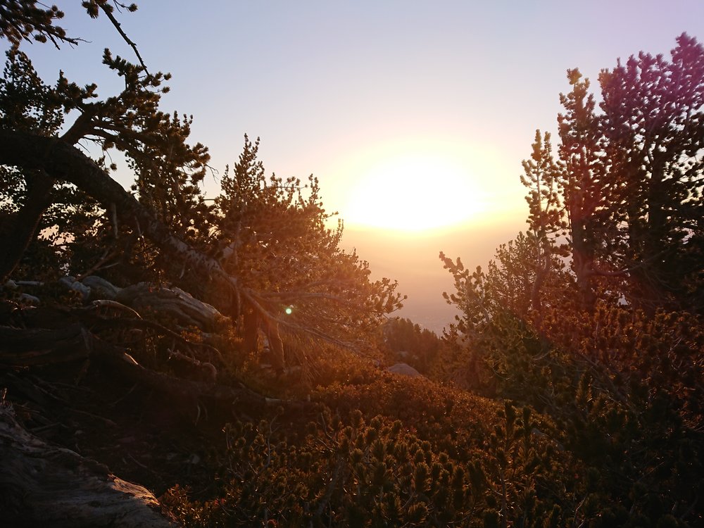  Sunrise in the morning coming down from Mt San Jacinto. 