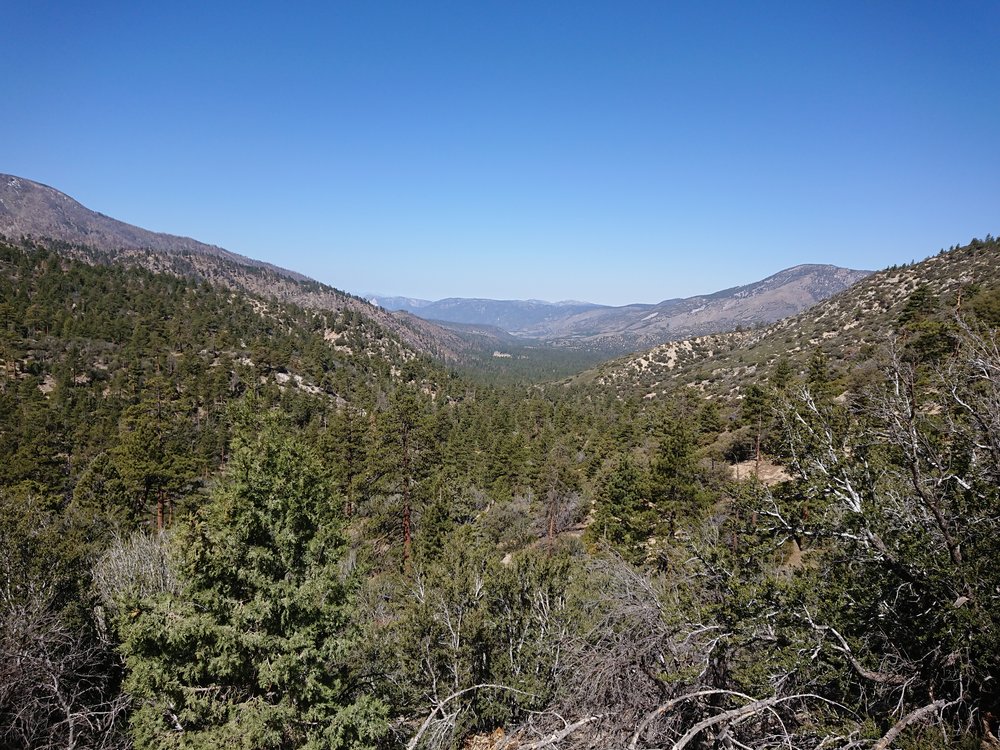 Looking out over the surprisingly green desert.