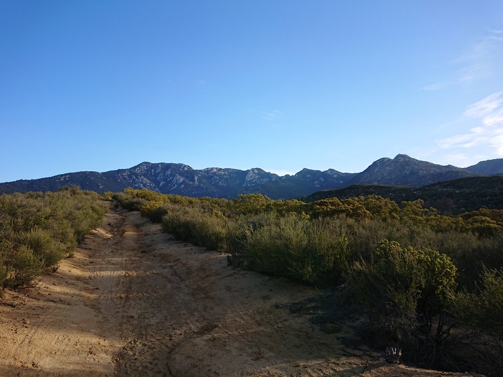  Sun slowly creeping over the detour trail. 