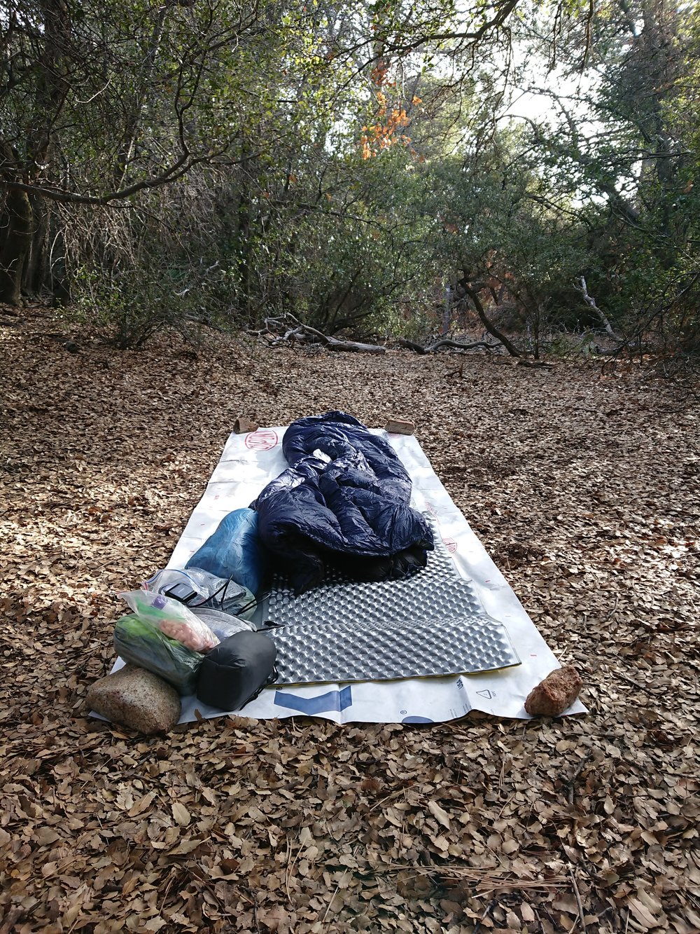  Very nice campsite sheltered amongst some trees. 