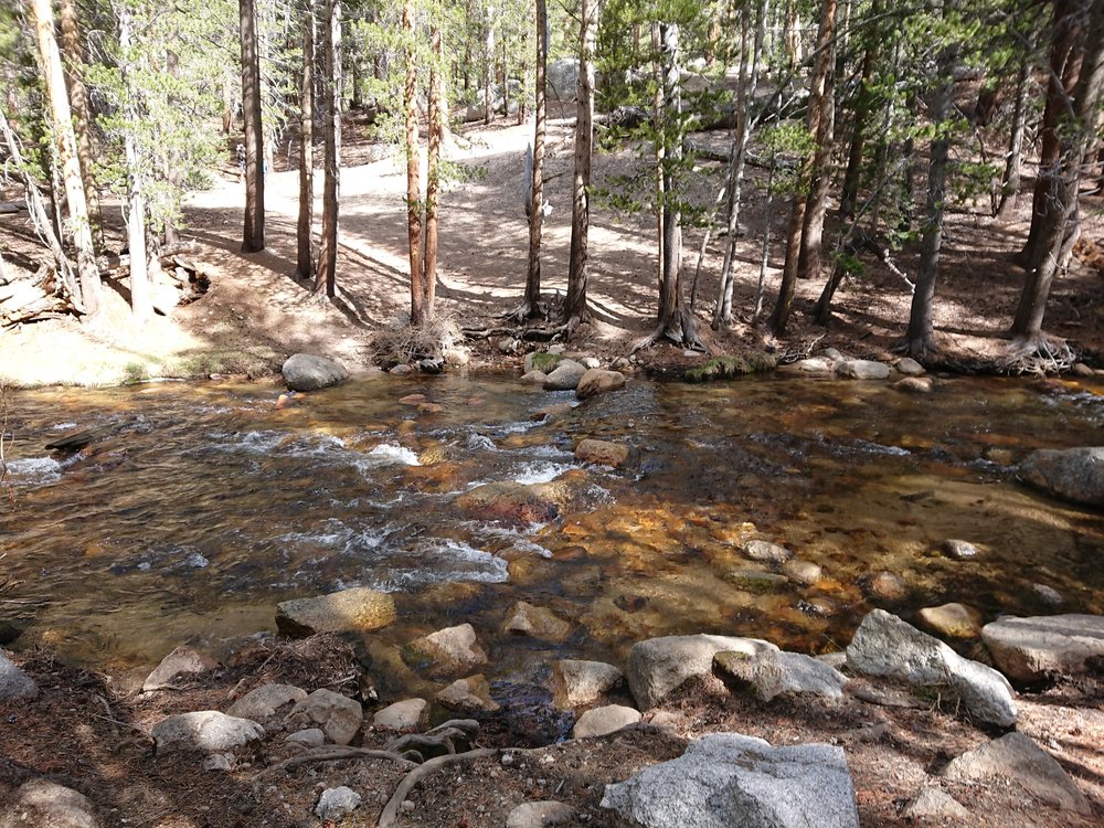  Easy crossing in the water of Guyout Creek 