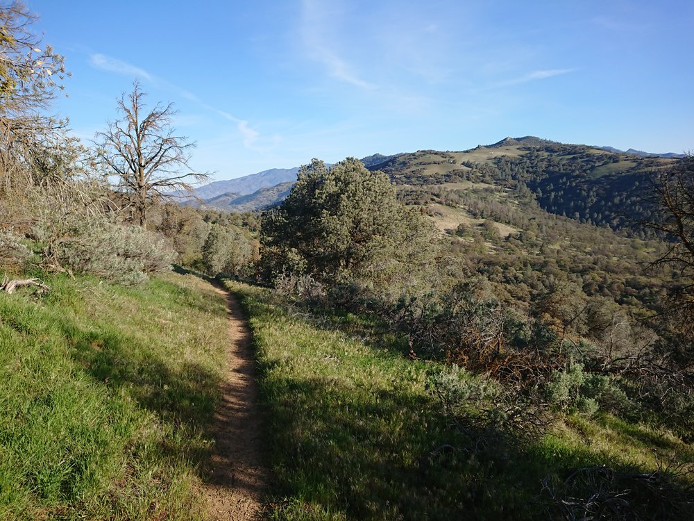  Now the terrain is sometimes very green and lush which I did not see further south 