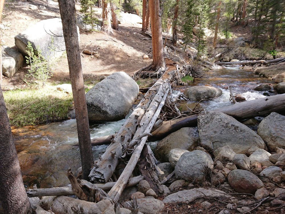  The logs I used to cross Rock Creek 