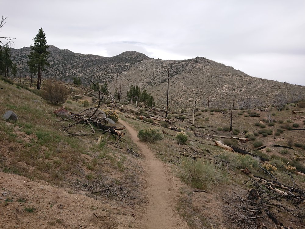  For now the terrain still look much like it has so far, hard to believe that in a few days we might encounter a lot of snow 