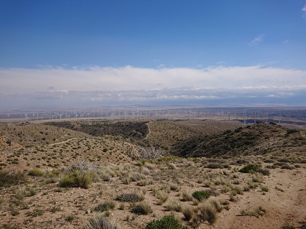  Looking back at the wind farm we passed through 