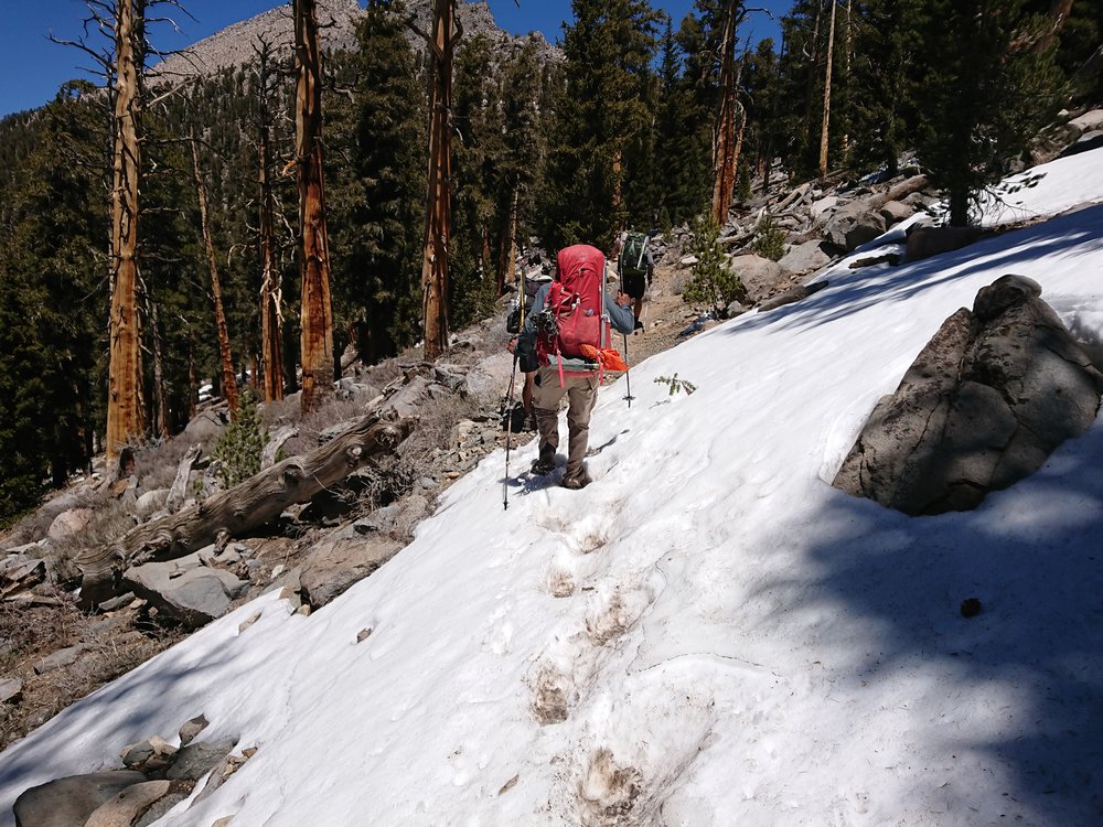  At higher elevation we now started to encounter more snow patches, a sign of things to come 