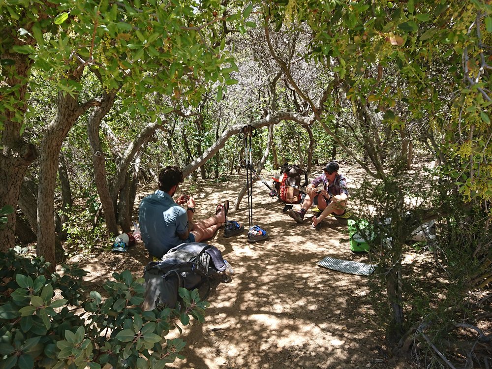  Perfect shaded lunch spot 