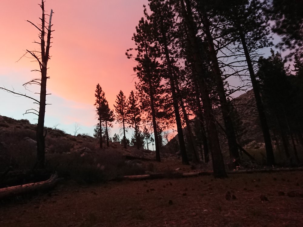  Lazy sunset picture from my sleeping bag. 