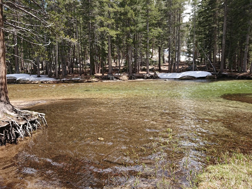  The wide Evolution Creek that we crossed 