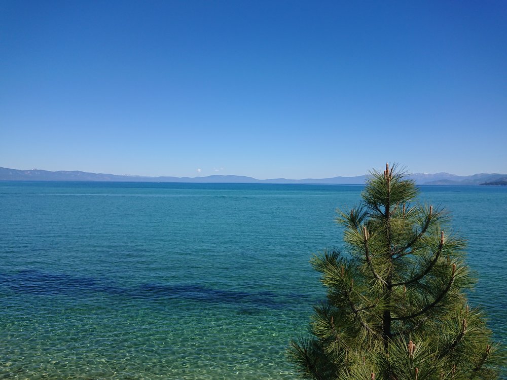  Lake Tahoe is really beautiful with its amazing clear water 