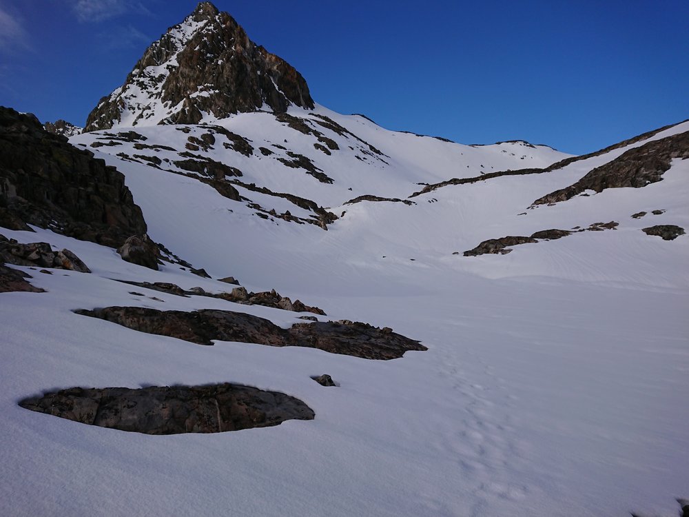  Quickly everything was covered in snow but the snow was quite good to walk on 