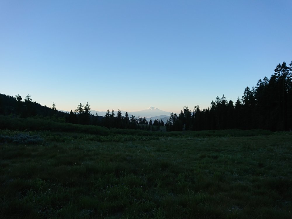  Mount Shasta visible in the early morning light 