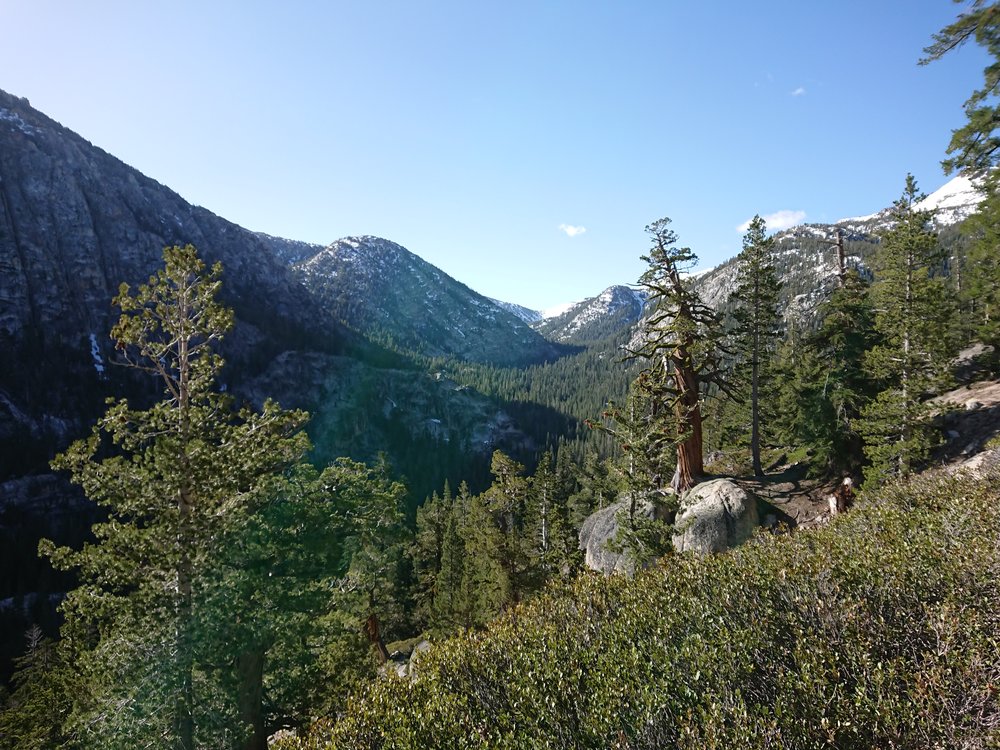  Once we get below the snow the landscape is usually very green 