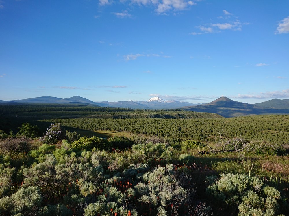  Hat Creek Rim had the most amazing views I had seen in a while 