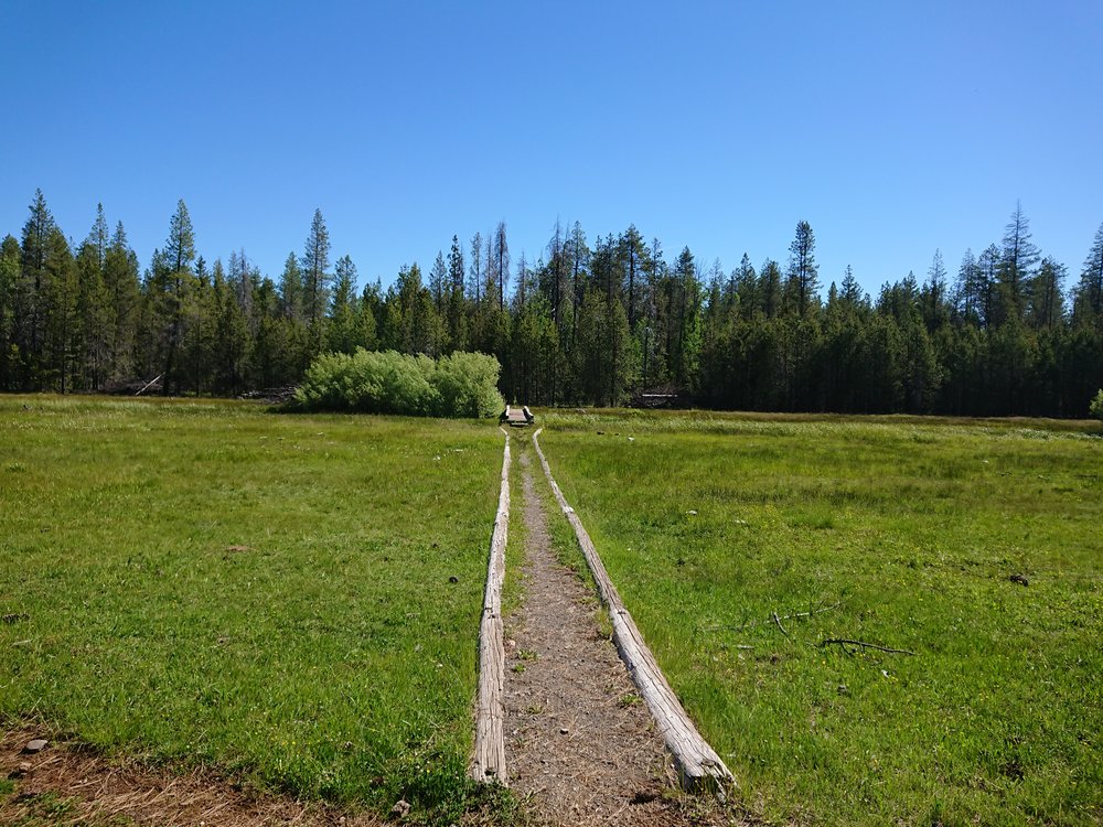  After descending from the days one climb I came upon this beautiful green meadow 