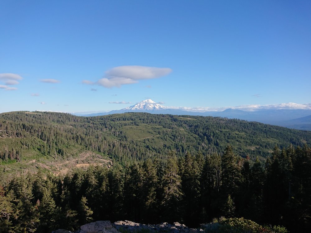  Mount Shasta is much closer now but now to the north 