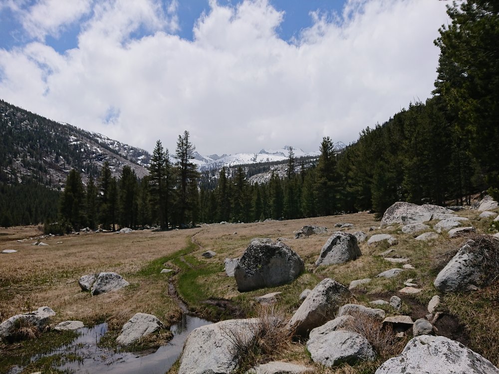  Our lunch spot in Lyell Meadows which was luckily snow free 