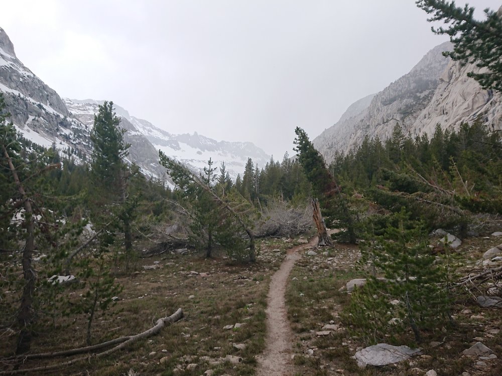  Some of the snow free trail showed signs of avalanche damage 