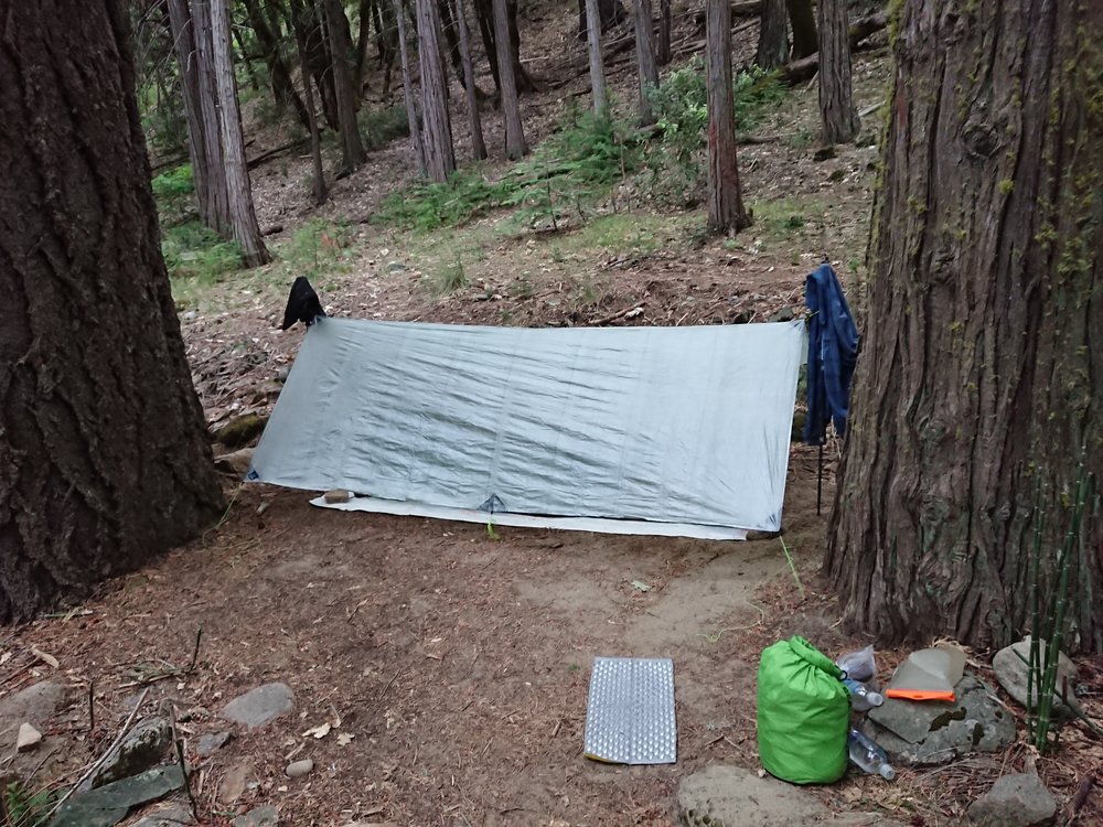  After starting the day with rain I took no chances and setup my tarp, as it was still quite cloudy 