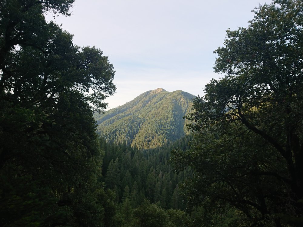  During the climb the forest periodically opened up and presented good views 