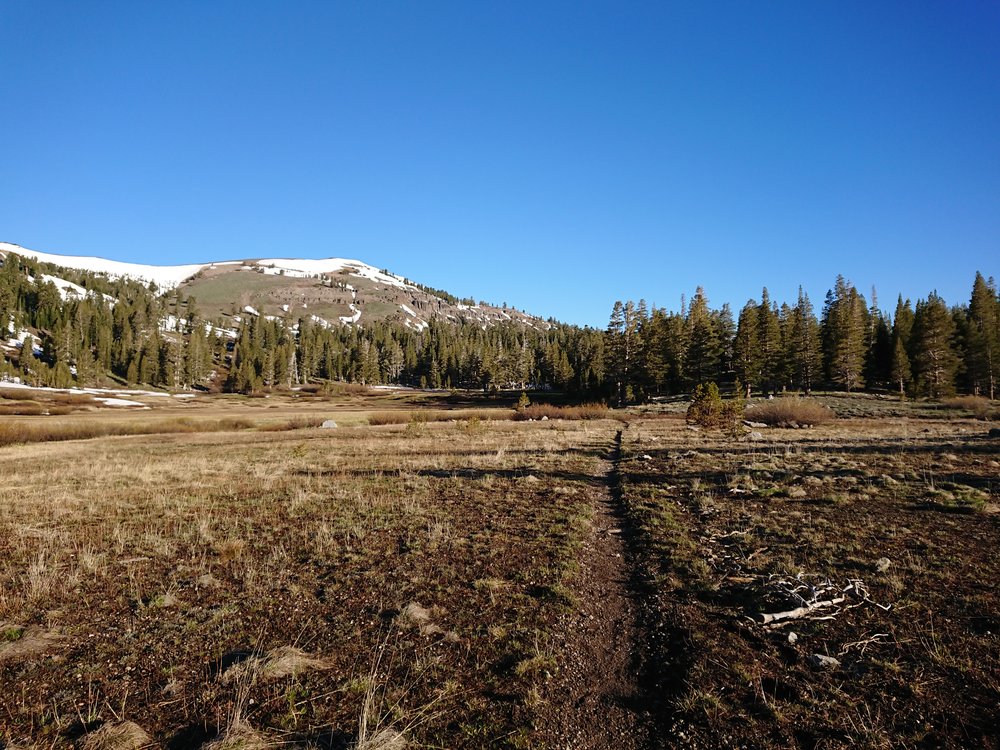  Meadow before the final climb of the day 