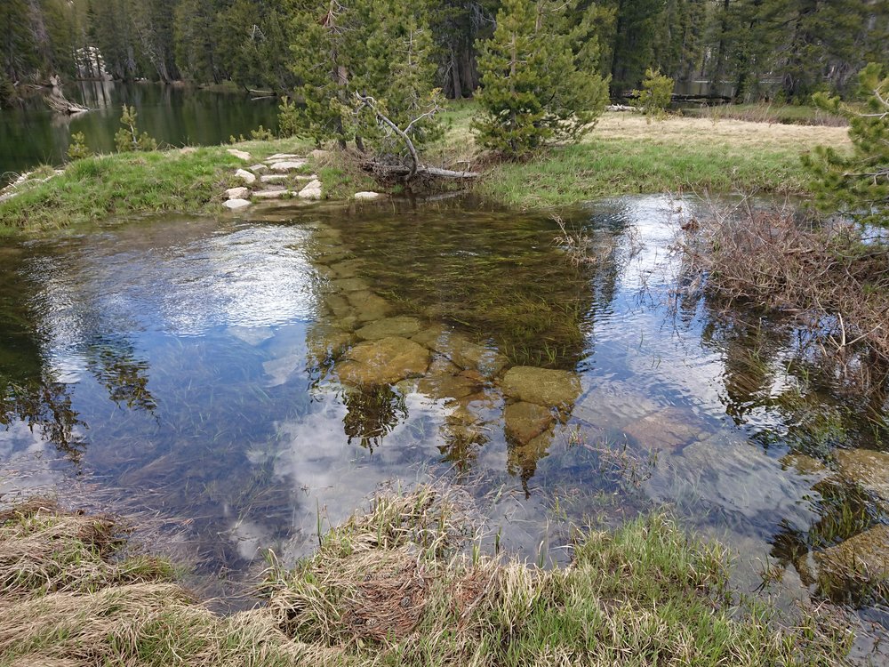  There is a lot of water everywhere so often the trail is under water 