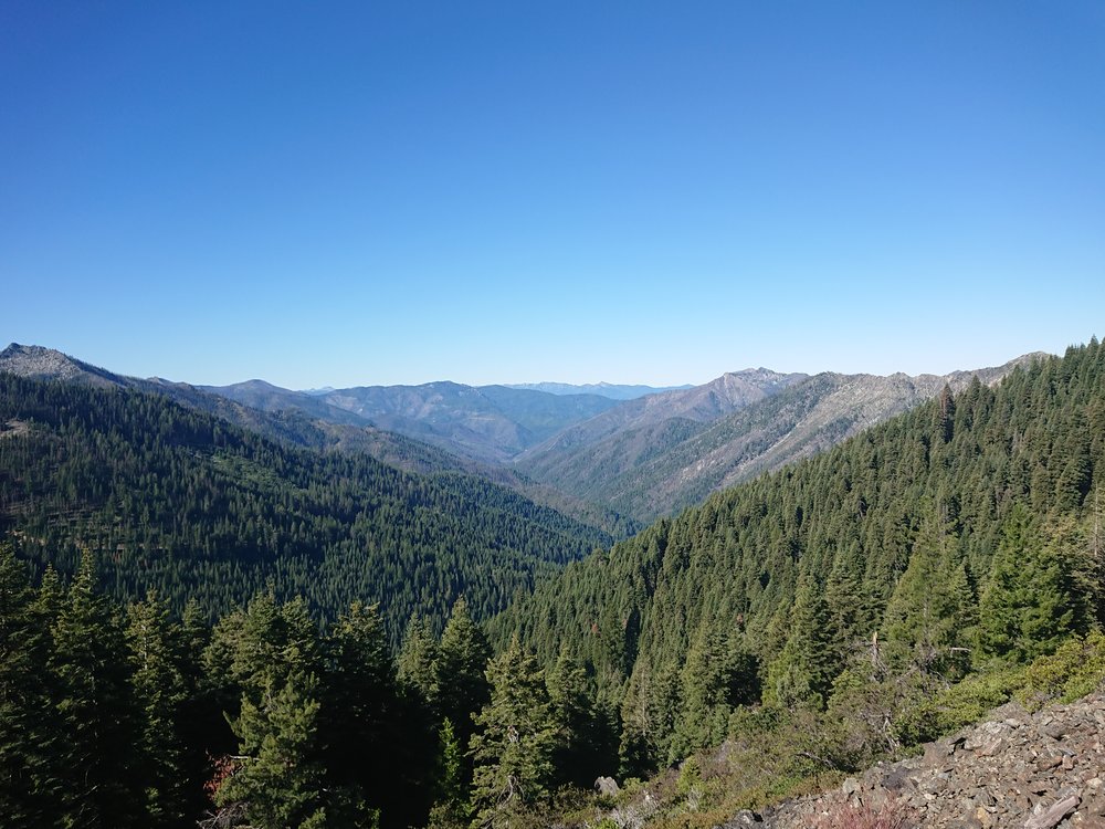  Before entering a big burn area there were green trees everywhere 