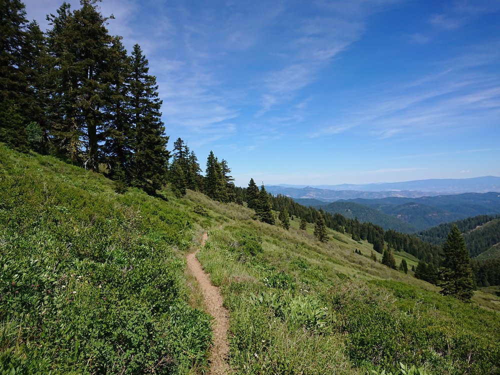  A particular beautiful part of the days hiking in Oregon. There seems to be a lot of green now 