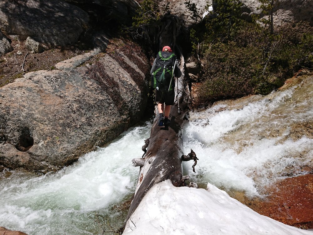  Crossing creeks on logs is always interesting, but we will do a lot to keep our feet dry 