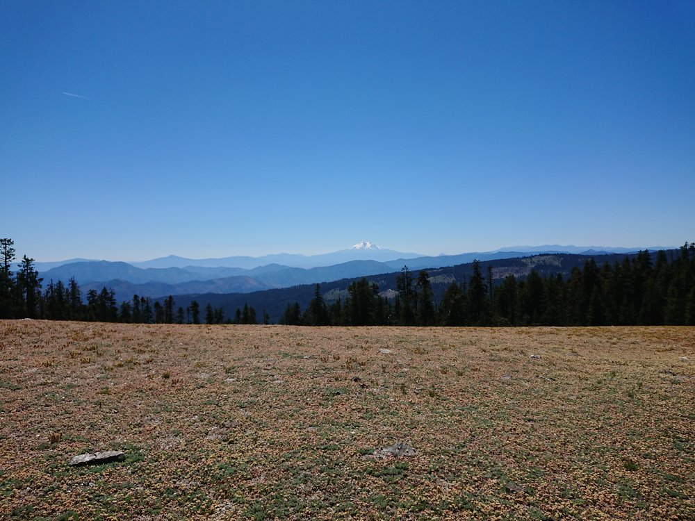  I came upon some big open areas where Mount Shasta was visible 