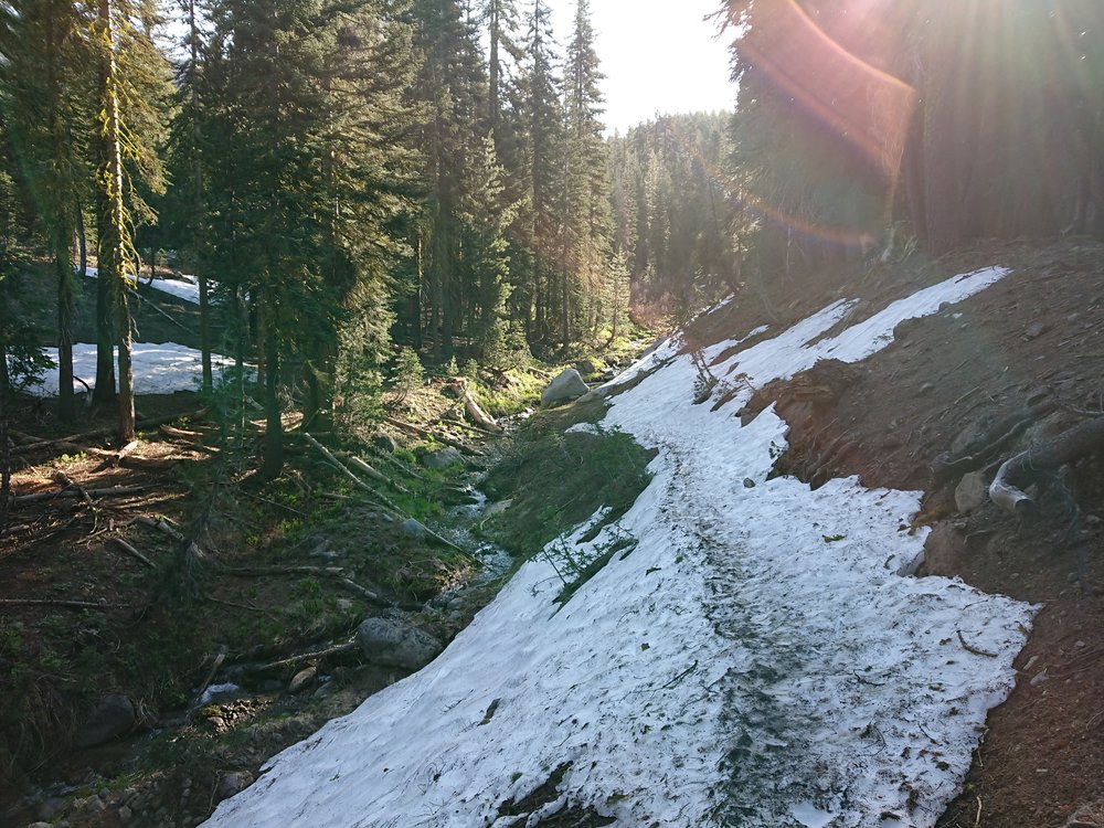  Some of the snow patches I had to cover today. There were generally a lot of footprints to follow 