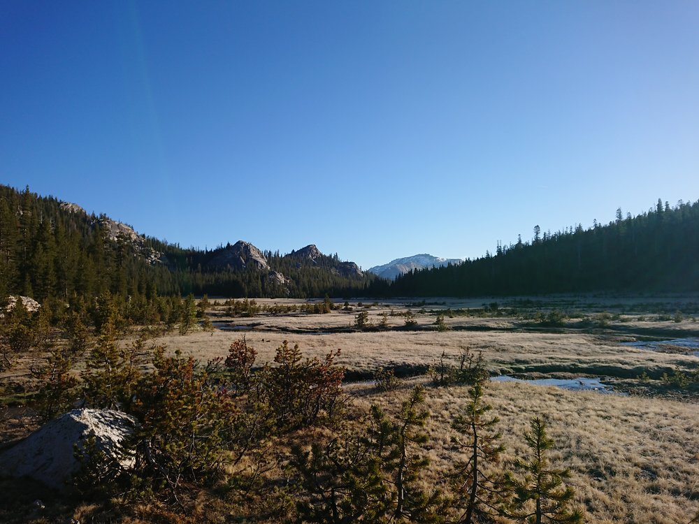 Beautiful meadow that we crossed early in the morning