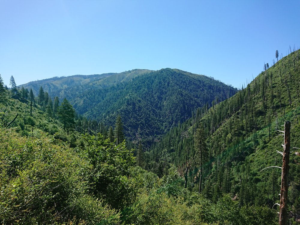  Looking back down the towards Belden and some of the climbing I had already done. Still plenty to go 