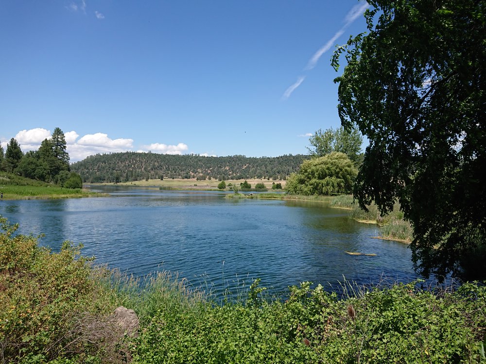  Baum Lake 