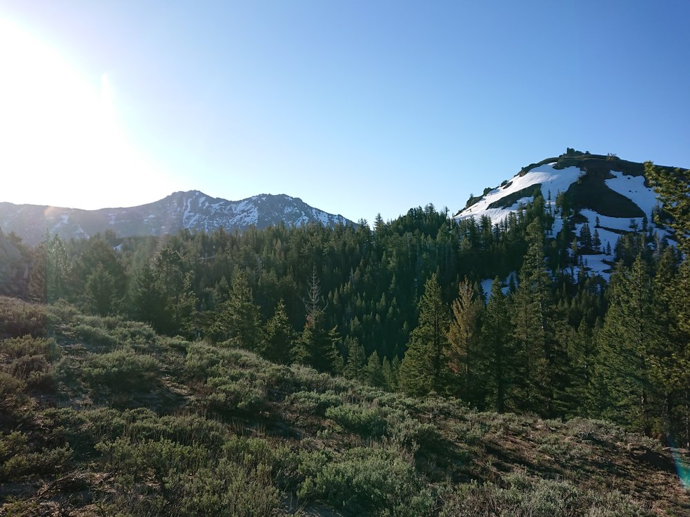 Very green in the morning but still snow in the background