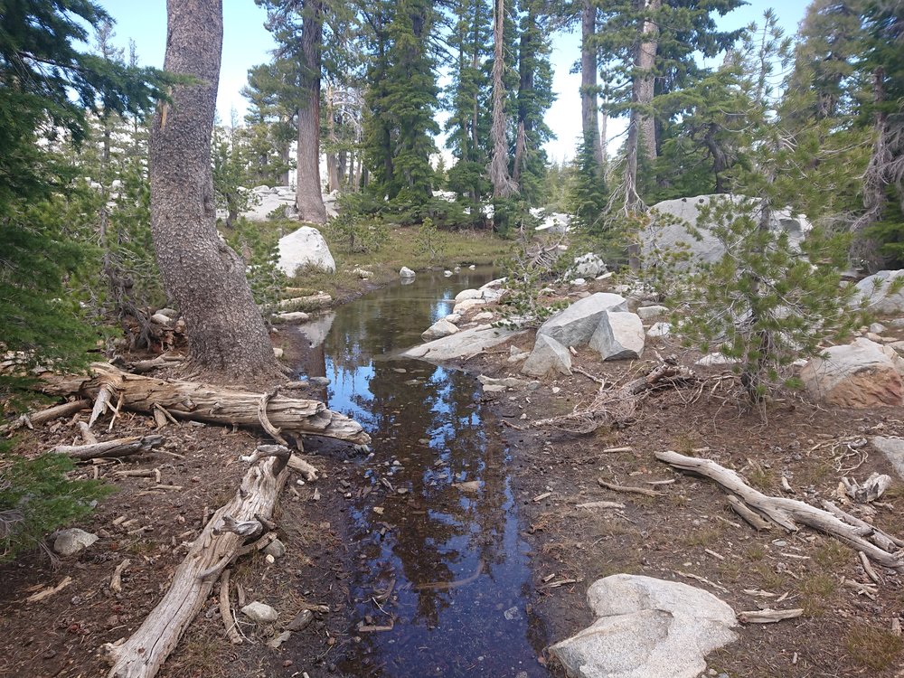  Lots of water on the trail in places 