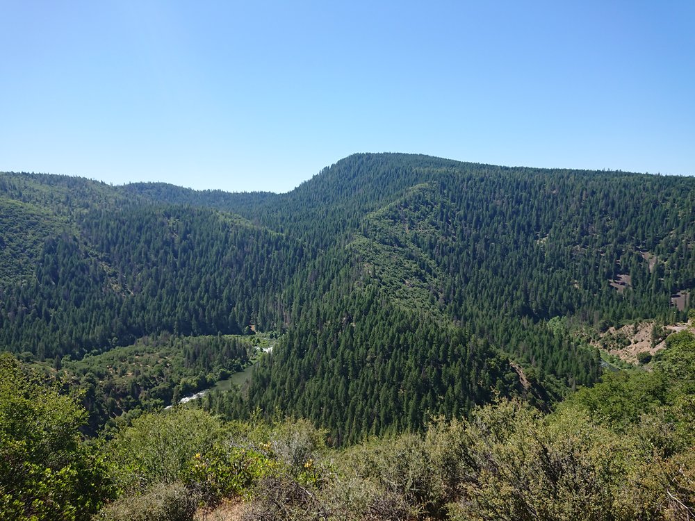  Sometimes the forest opened up and I could see something that was not the trail 