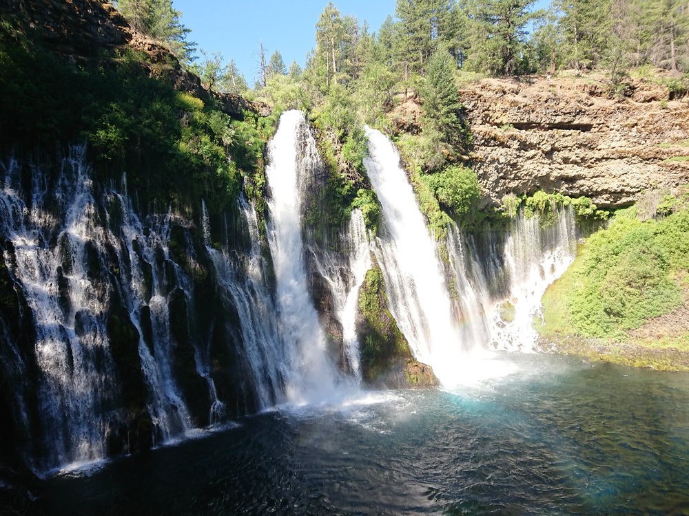  Burney Falls was really impressive 