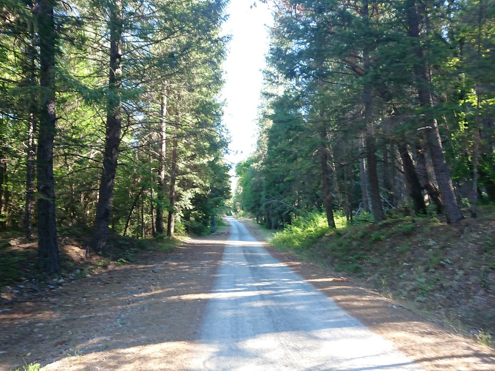  Roadwalking to Seiad Valley 