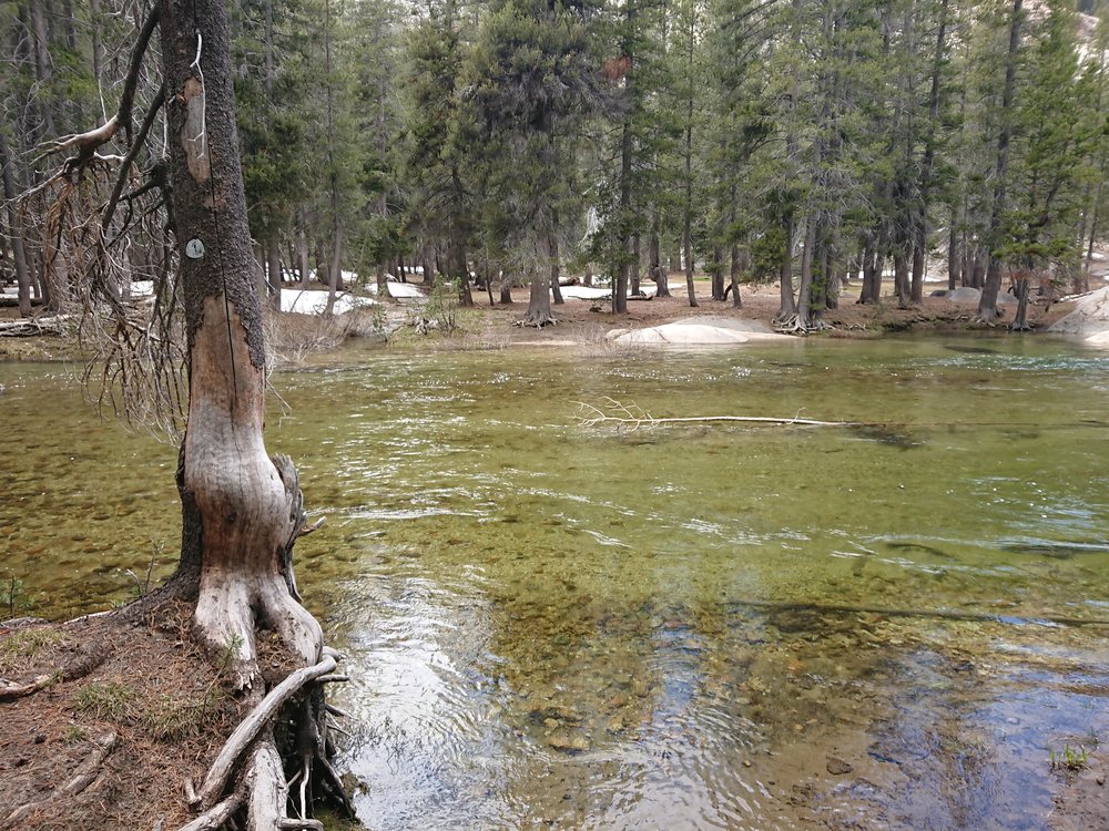  Wide and very deep stream we had to cross 