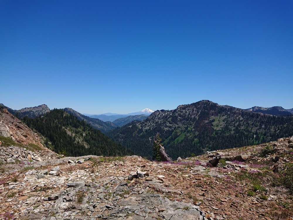  Mount Shasta just visible in the distance 