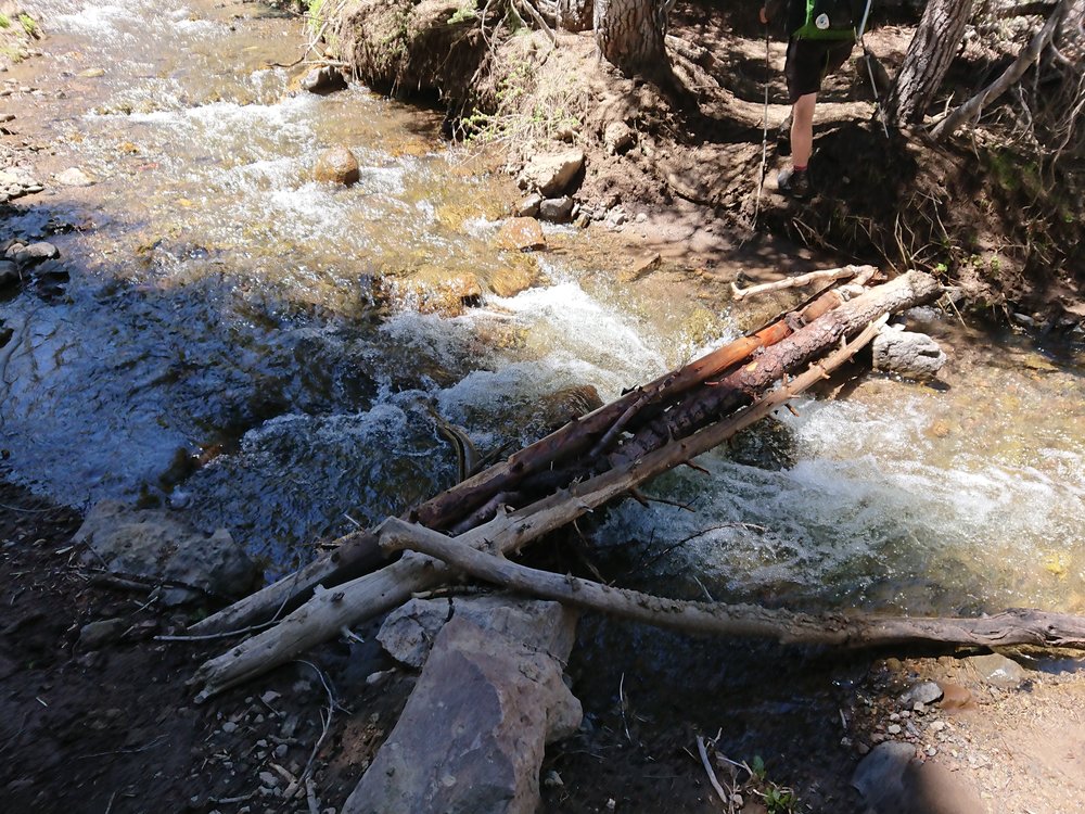  Often you try everything to cross with dry feet, this often involves crossing interesting log bridges 