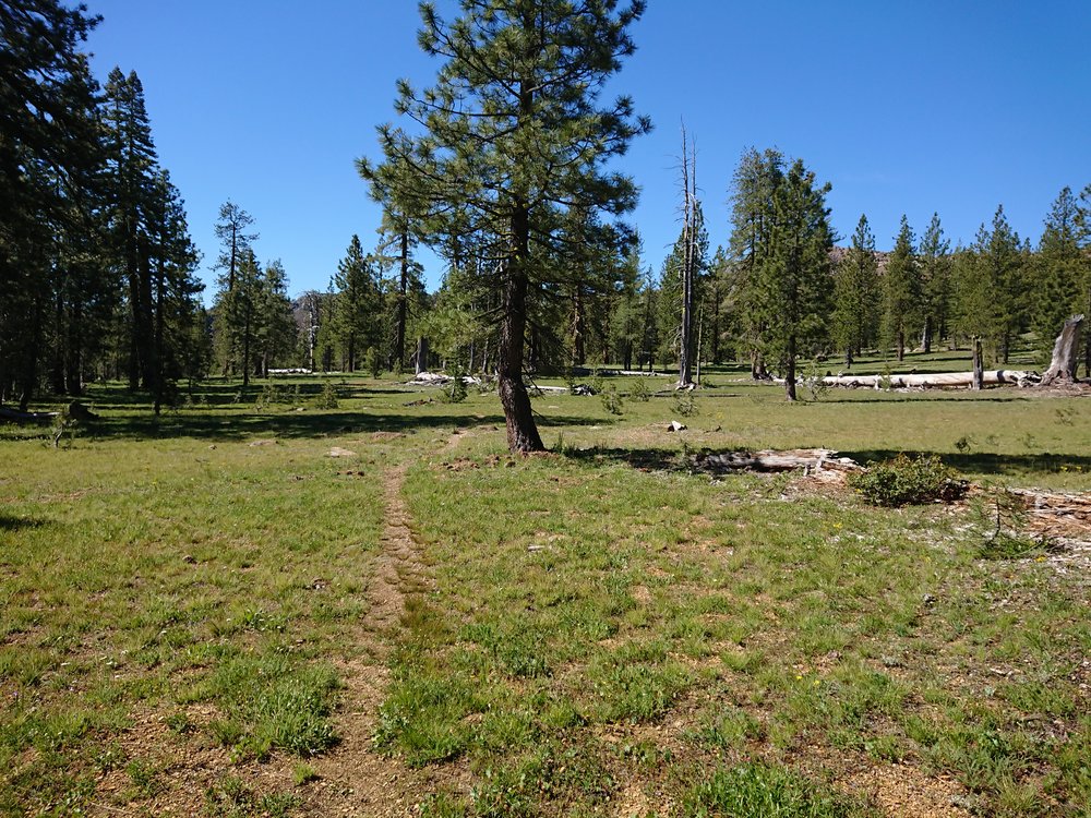  The trail even went through some meadows 