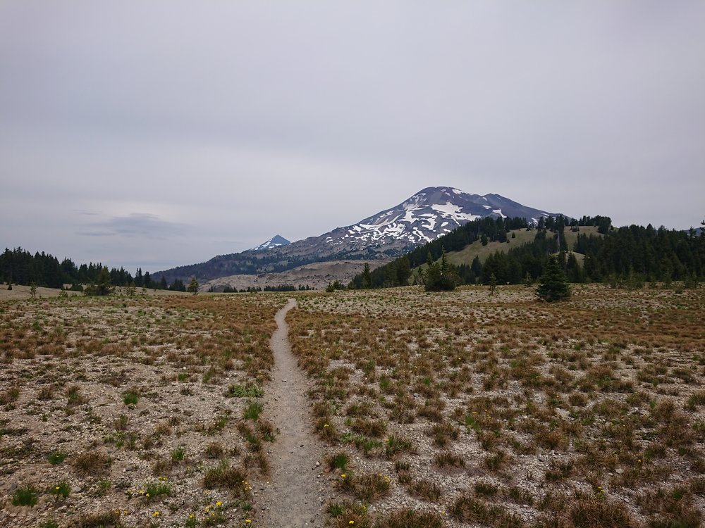  Nice open areas near the three sisters 