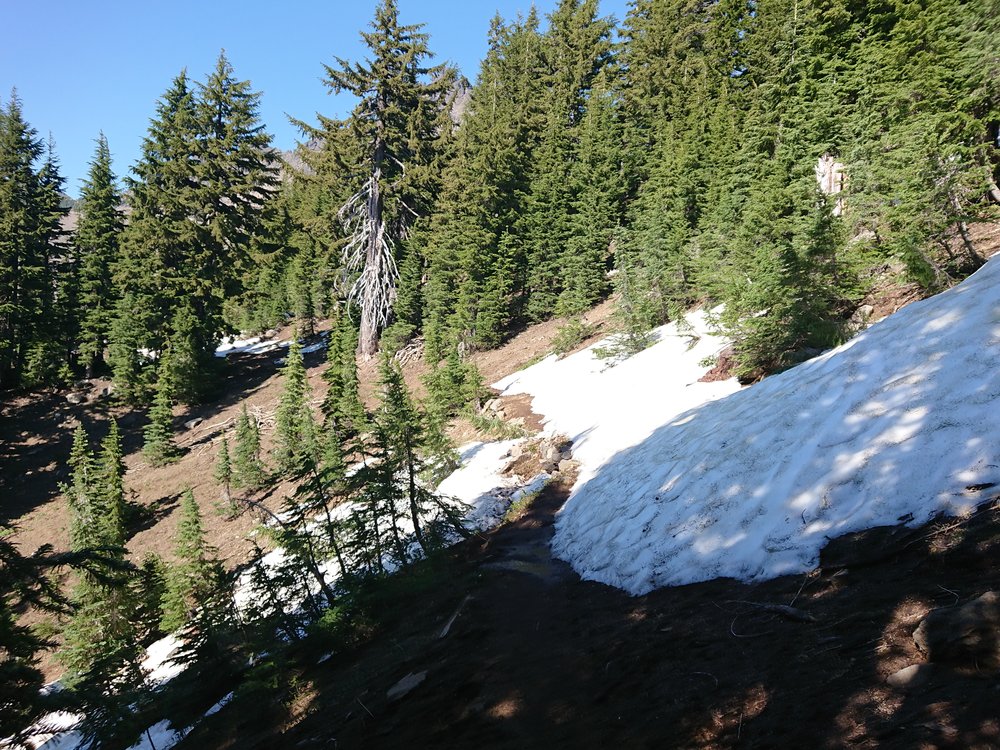  It seems most days in Oregon have a bit of snow 