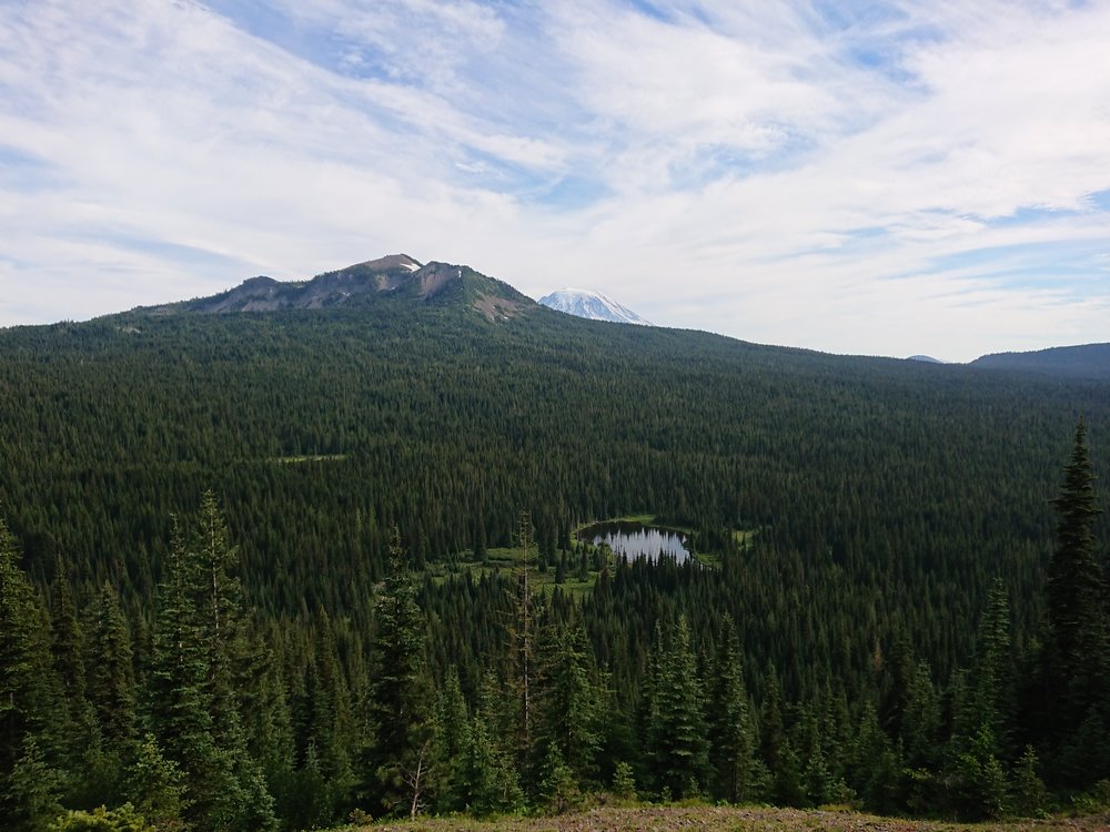 Looking back at the mosquito hell valley