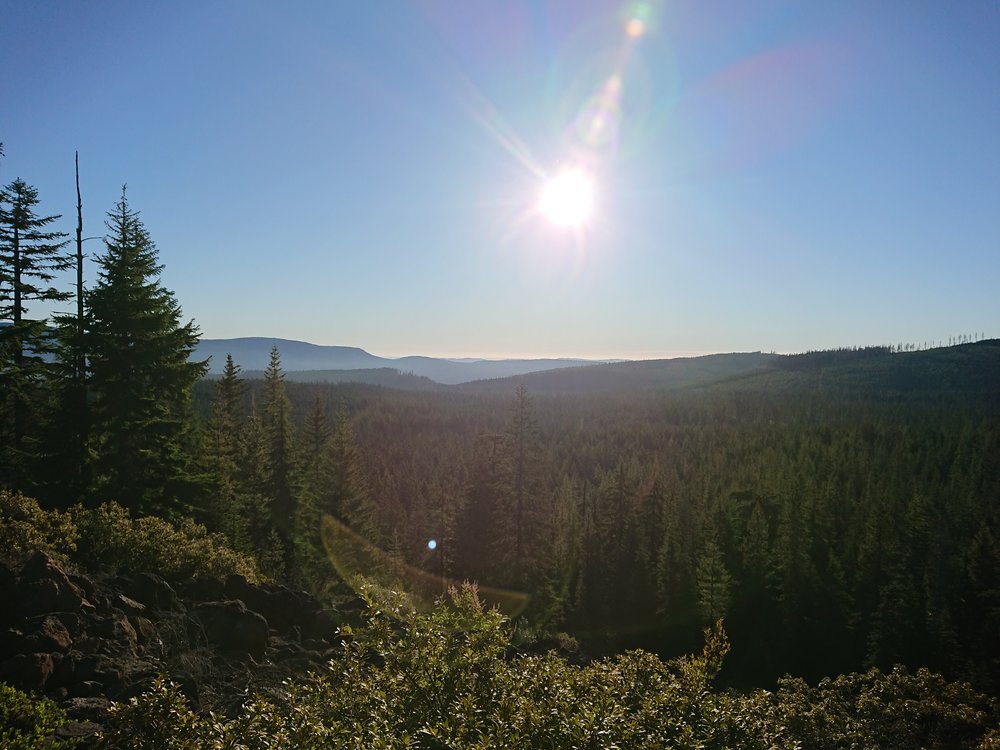  One of the last open views before entering the green tunnel for most of the day 