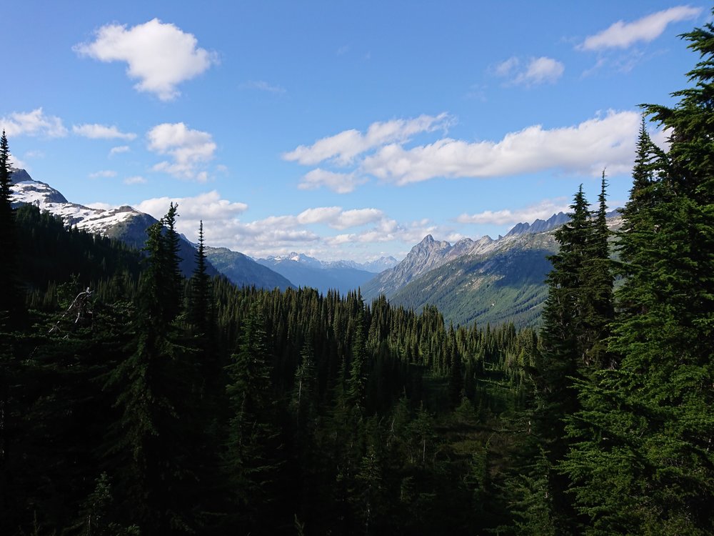  Mountains from the forest 