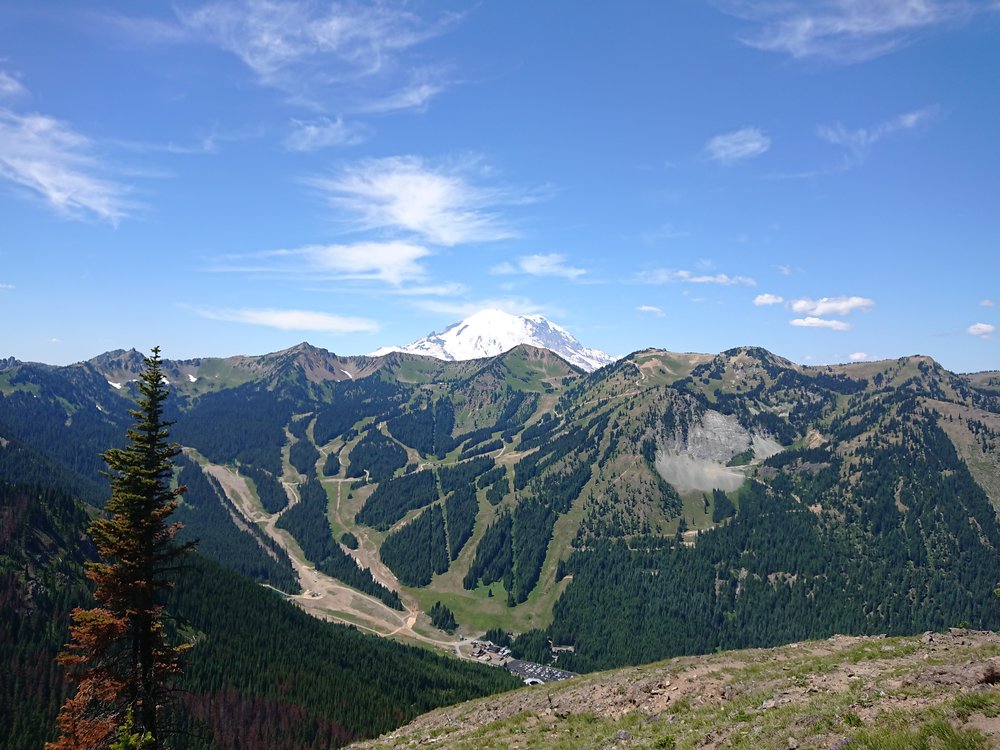  Ski area in summer clothes 