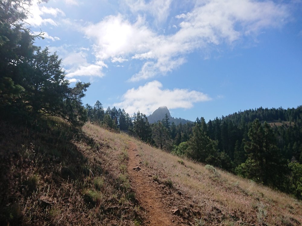  Nice easy trail in the beginning of the day 